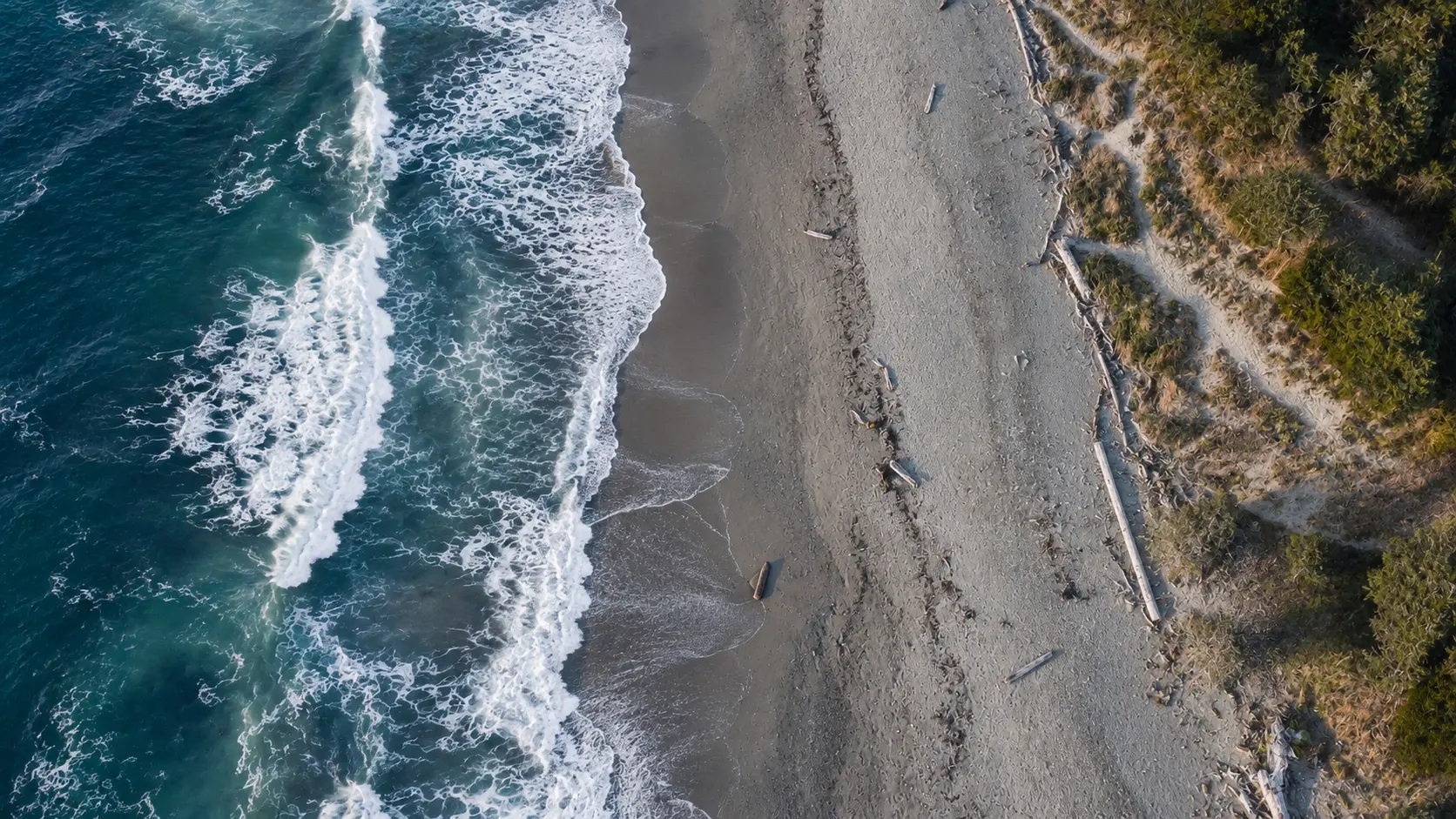 Pacific coastline viewed from above